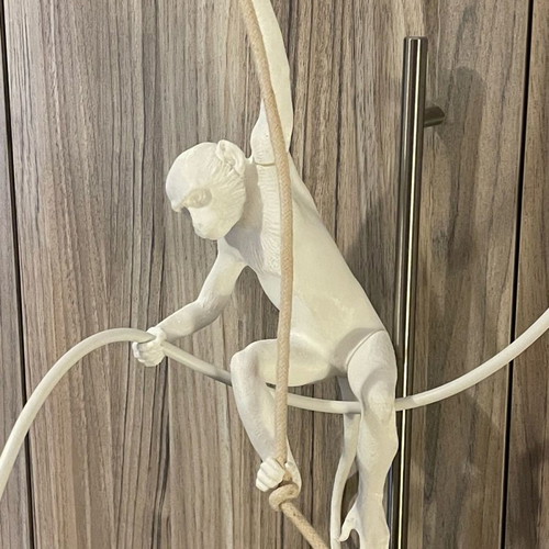 Ceiling light Monkey with LED bulb new 3D printed design