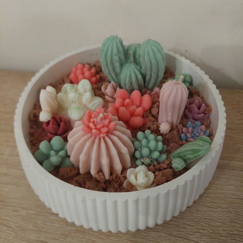 Cactus Garden Handmade Decorative Candle New, scented