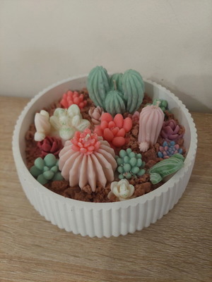 Cactus Garden Handmade Decorative Candle New, scented