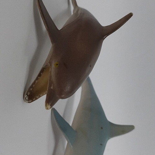 Dolphins like new