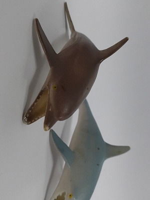 Dolphins like new