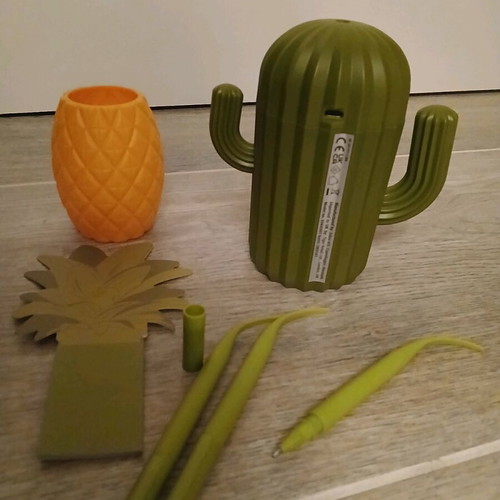 Cactus humidifier and pineapple pencil holder set new