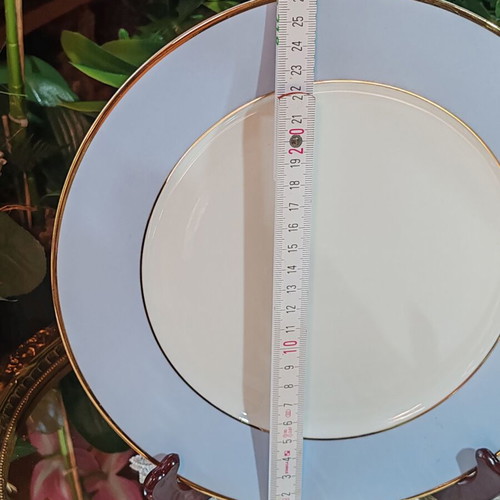 Royal Doulton porcelain dinner plates set of 6, gold rim, 25 cm