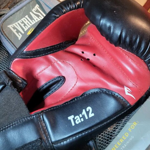 Everlast Pro Style boxing gloves like new, size 12 OZ