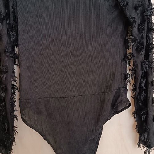 ZARA Black Long-Sleeve Bodysuit Like New With Sheer And Feathers