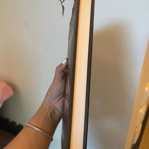 The Fonissa by Alexandros Papadiamantis hardcover like new