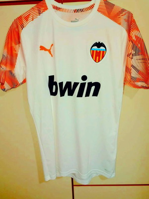Valencia Small in excellent condition