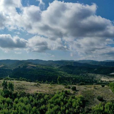 Αγροτεμάχιο 17.197 τ.μ. στη Χανιώτη Χαλκιδικής με θέα και ιδιωτικό δρόμο