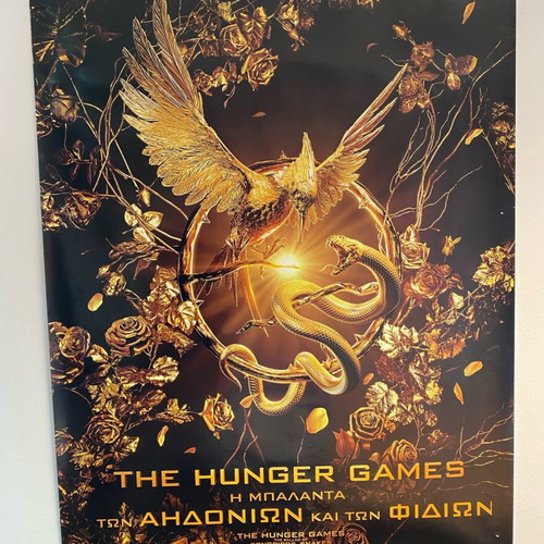 The Hunger Games movie poster used
