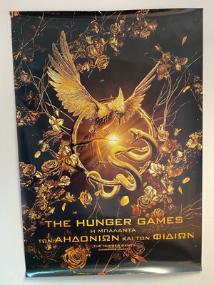 The Hunger Games movie poster used