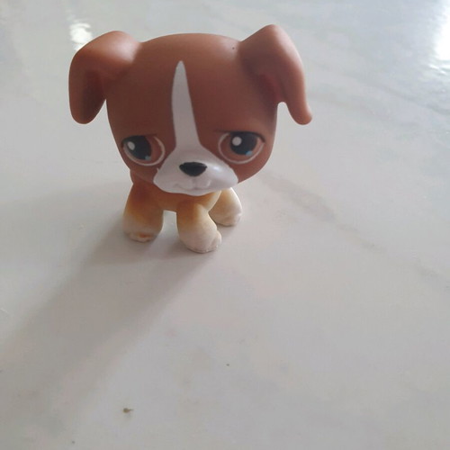 Littlest Pet Shop pet like new