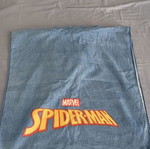 Minecraft swim shorts and Spiderman hooded towel, Zara