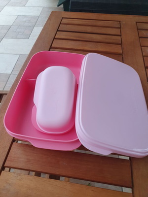 Tupperware food container with compartments and mini container