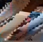  γόβες χρυσές με διαφάνεια