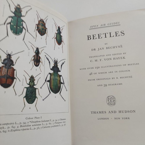 Beetles (Open Air Guides) Jan Bechyne et al 1956 like new