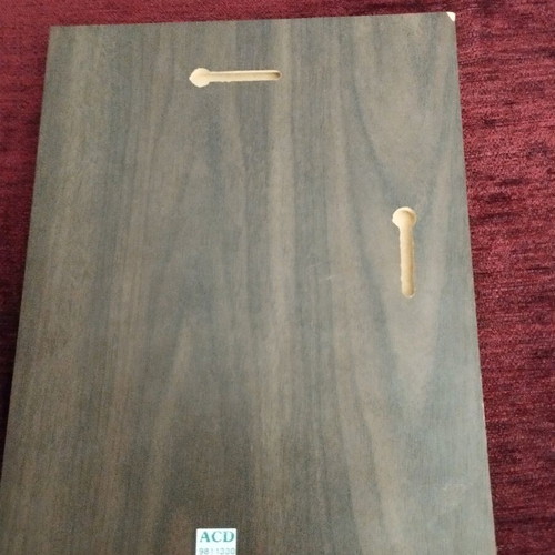 President Award Lions plaque used