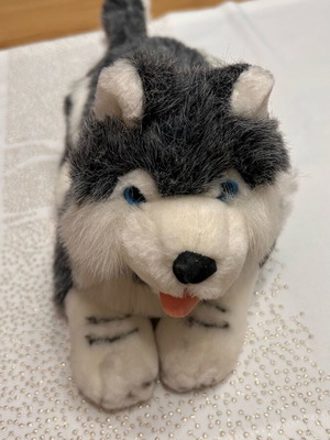 Plush dog teddy bear like new, about 25 centimeters