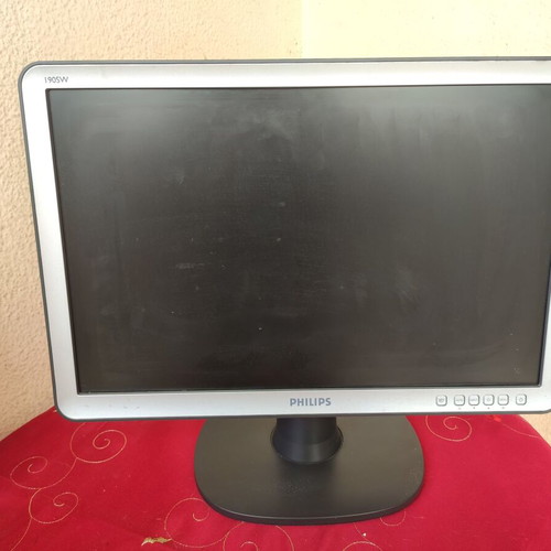 Monitor 19" Philips HWS8190T used
