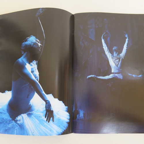 Swan Lake Concert Program like new