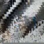 Μπότες Le Silla EVA thigh-high 120mm μαύρες, μέγεθος 36,5