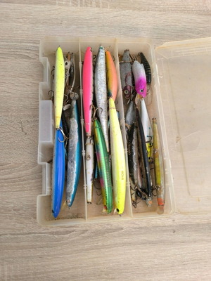 Spinning lures used