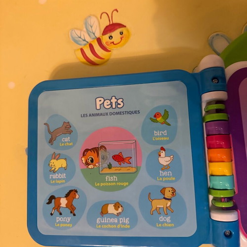 LeapFrog Learning Friends 100 Words Book like new interactive learning toy