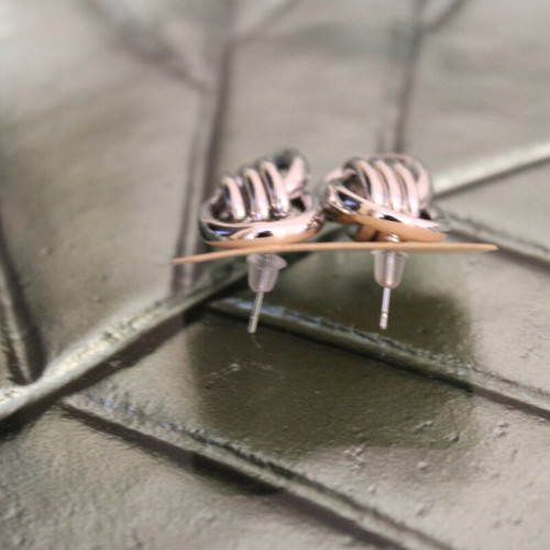 Silver earrings new