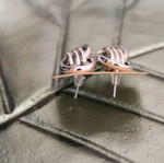 Silver earrings new