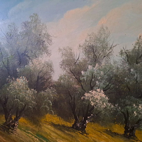 Anastasiadou Signed Painting 49x39 cm