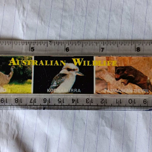 Australian ruler used with wildlife pictures