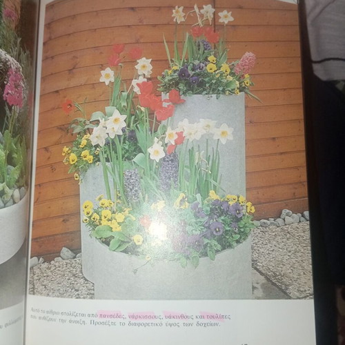 Plants for Pots and Window Boxes used book