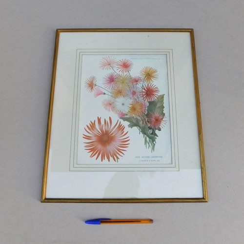 Framed print with protective glass 37 x 44 cm