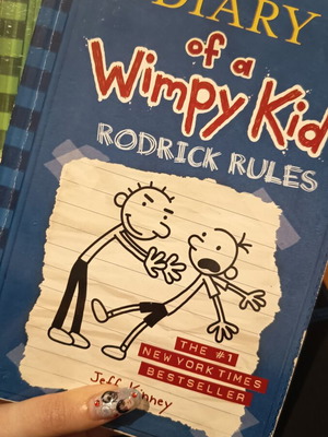 Diary of a Wimpy Kid books used, volumes 2 and 3 in English