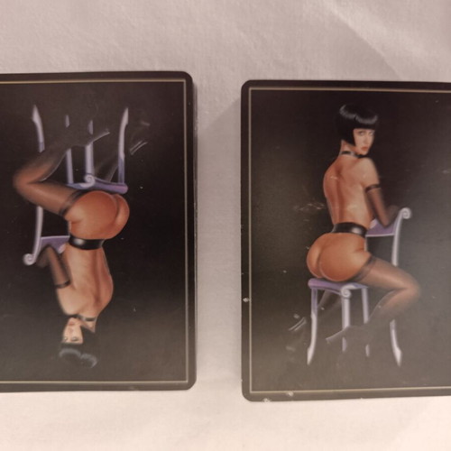 Playboy collectible deck used from 1990s with large hard case
