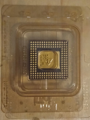 Intel i486 SX new