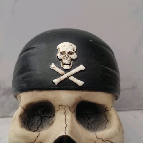 Pirate Skull Coin Bank used