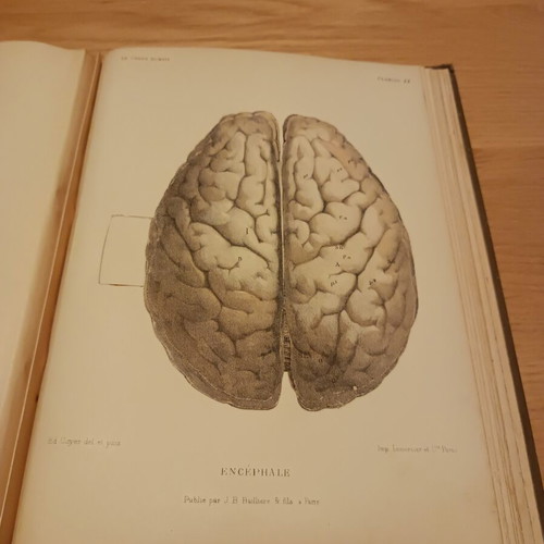 Atlas manuel d anatomie by Édouard Cuyer used, 1895 medical art book