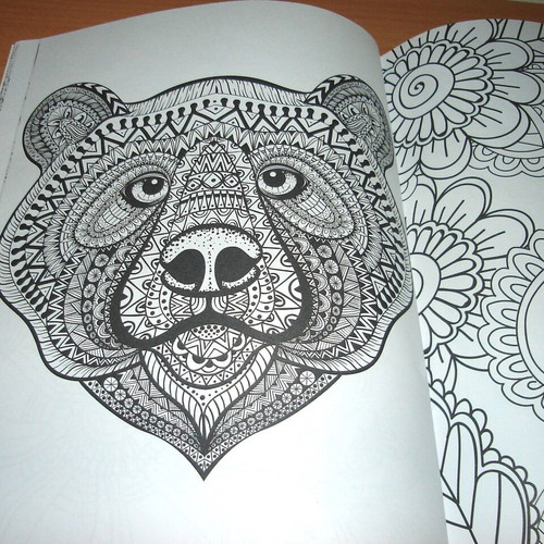 Anti-Stress Coloring Book for Children and Adults like new