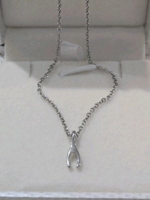 Silver necklace new for everyday use