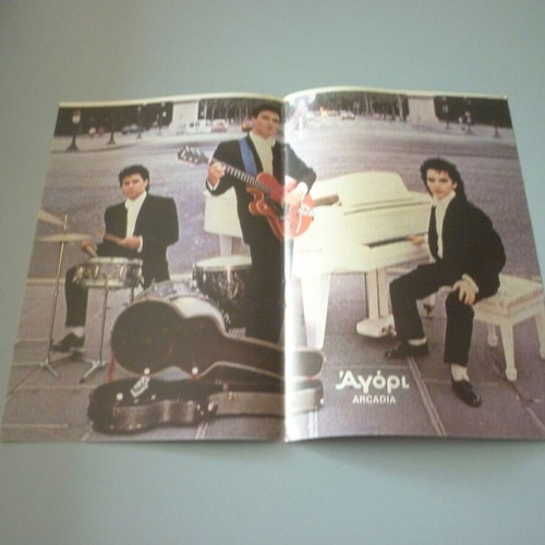 David Hasselhoff Arcadia double collectible poster used