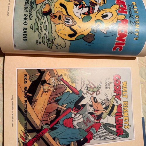 Disney Poster Book volume like new, posters from Disney movies