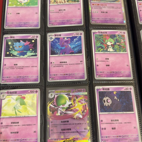 Pokémon Binder with Full 1-193 Ascended Hero Set in Traditional Chinese, mint