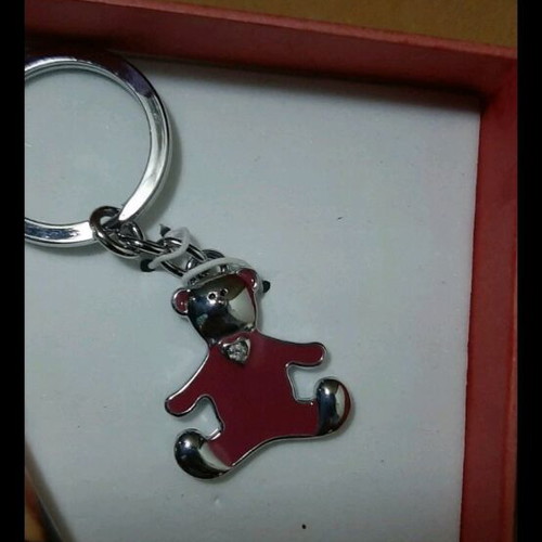Pen and keychain set new