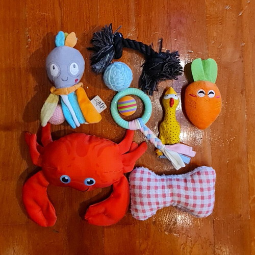 Pet toys new, pack of 40 pieces