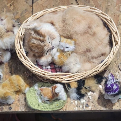 Plush Cats like new, various sizes, sold together