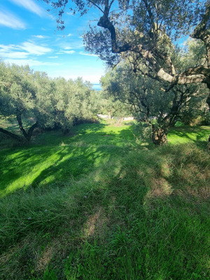 Buildable land 2,600 sqm with sea view in Zakynthos Tragaki