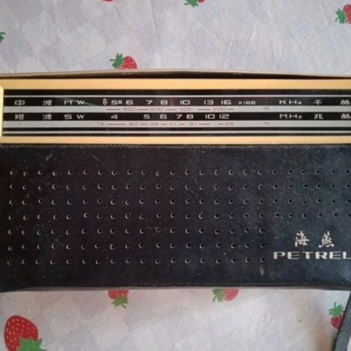 Petrel B321 radio used, 1960s, with leather case