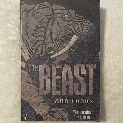 The Beast by Ann Evans, Usborne Thrillers paperback
