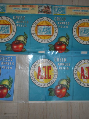 Μακέτα και τυπογραφικό φύλλο μεταχειρισμένο μεγαλοετικετών εξαγωγικών φρούτων Πέλλας 72x50cm δεκαετίας 60