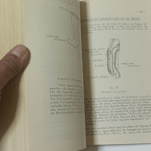 Histology and Embryology Notes and Exercises used, 1962 edition